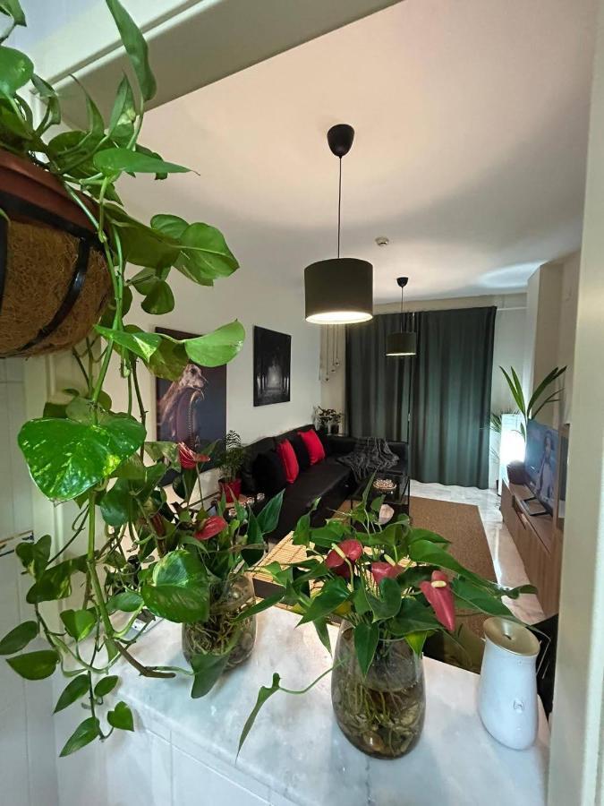 Apartamento Torre Alta Parking Gratis